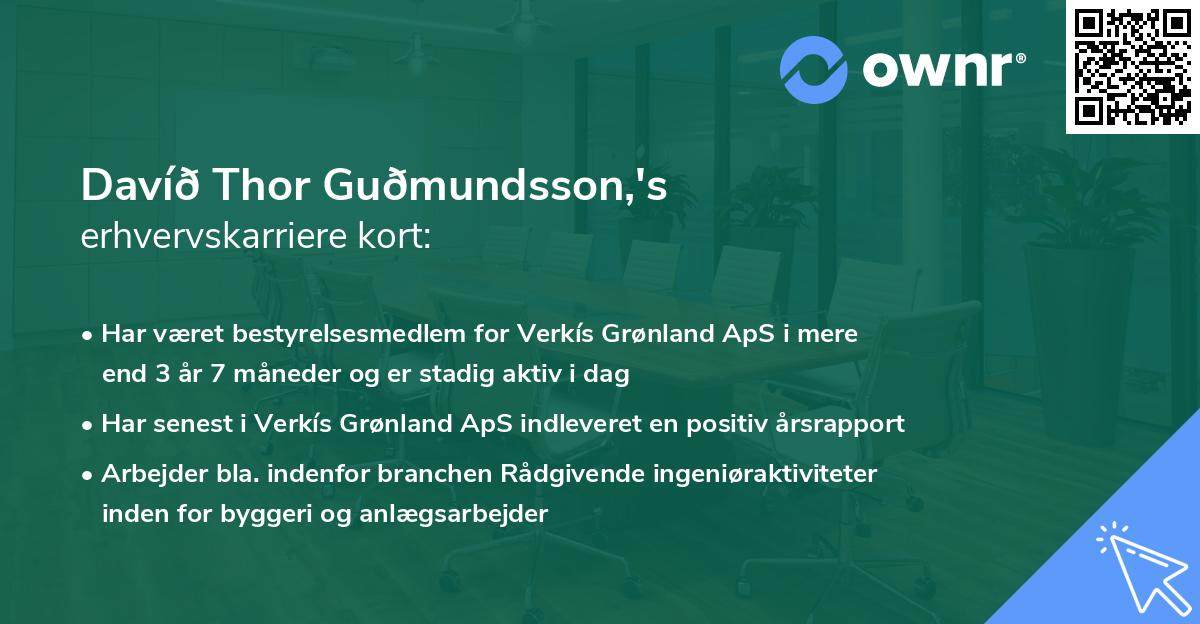 Davíð Thor Guðmundsson,'s erhvervskarriere kort