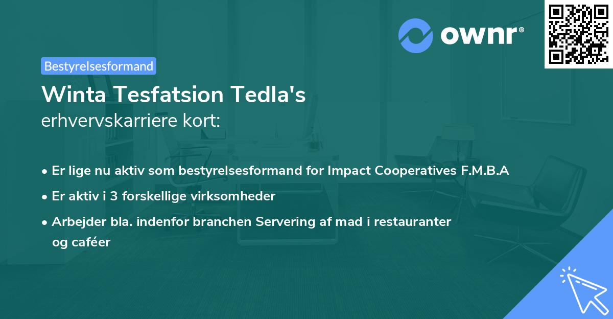 Winta Tesfatsion Tedla's erhvervskarriere kort