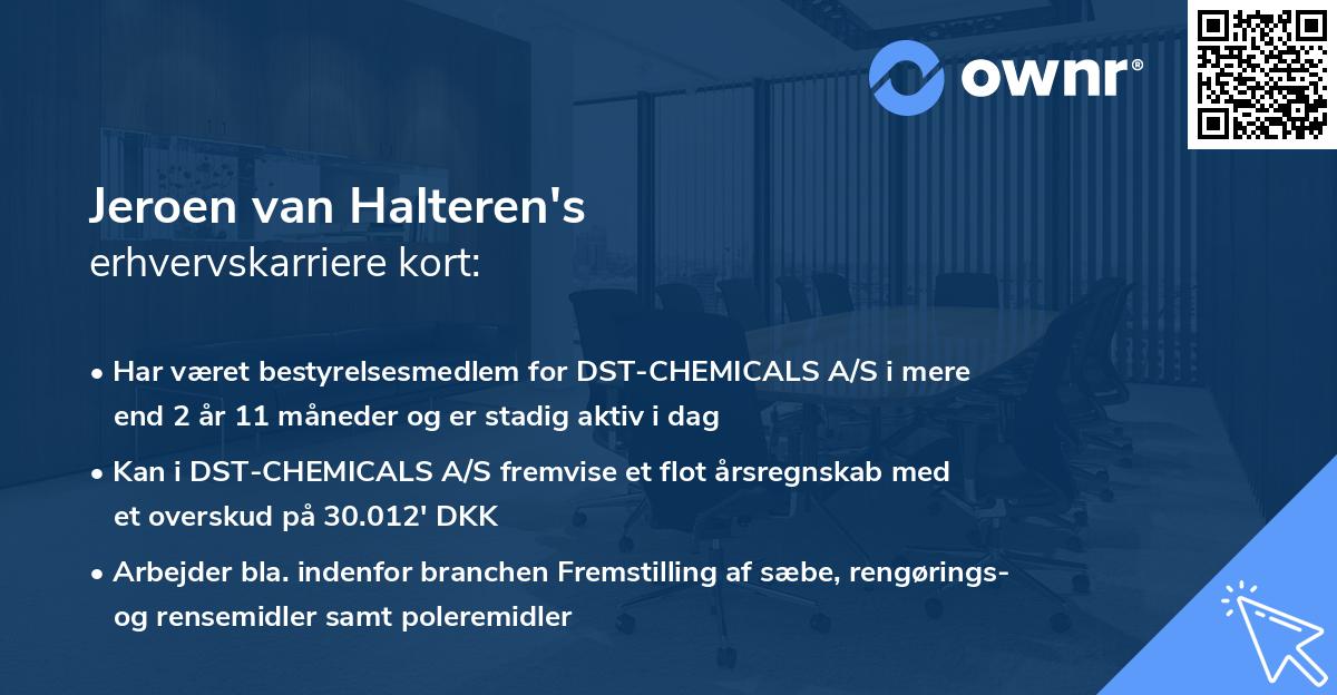 Jeroen van Halteren's erhvervskarriere kort