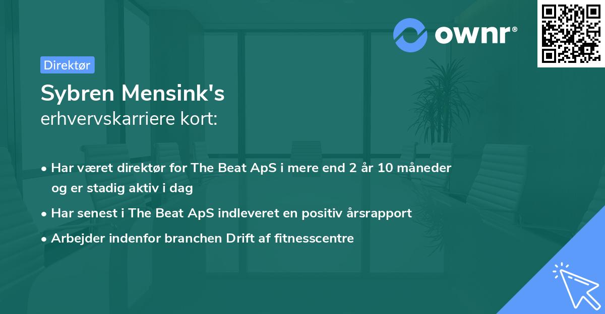 Sybren Mensink's erhvervskarriere kort