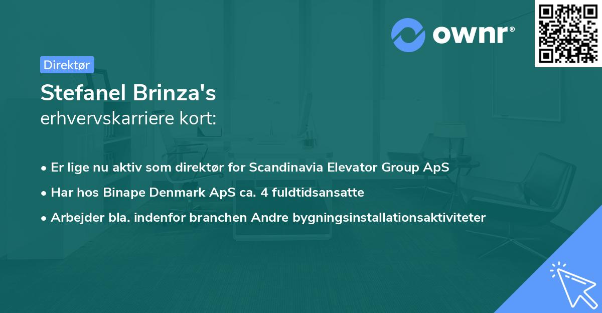 Stefanel Brinza's erhvervskarriere kort
