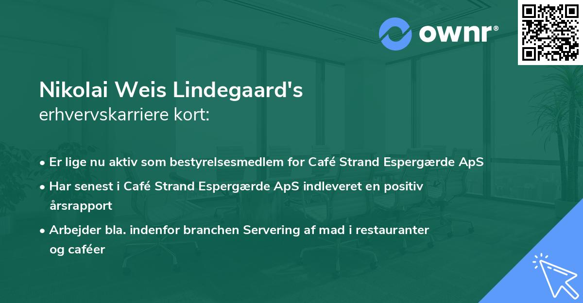 Nikolai Weis Lindegaard's erhvervskarriere kort