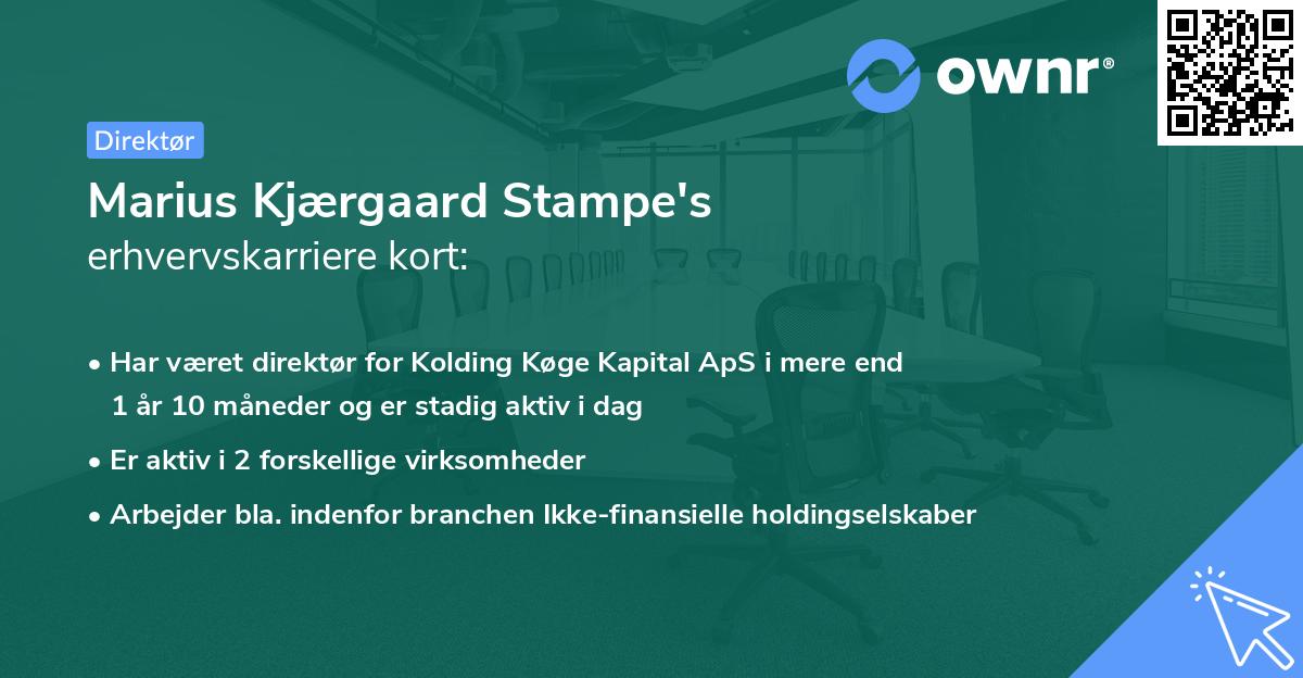 Marius Kjærgaard Stampe's erhvervskarriere kort