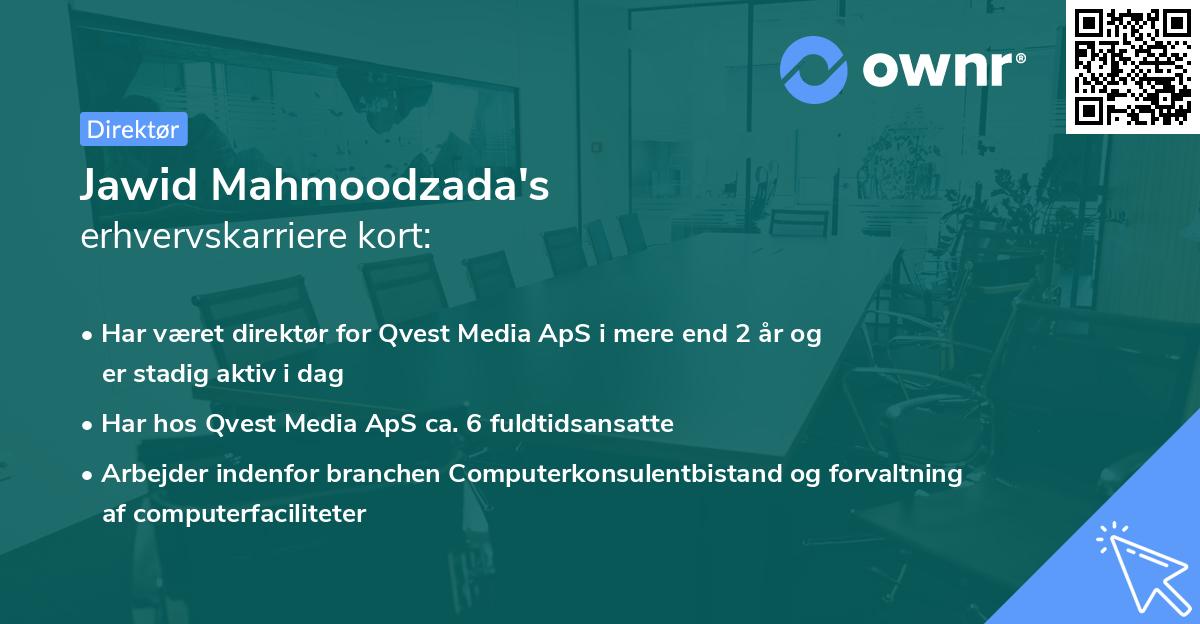 Jawid Mahmoodzada's erhvervskarriere kort