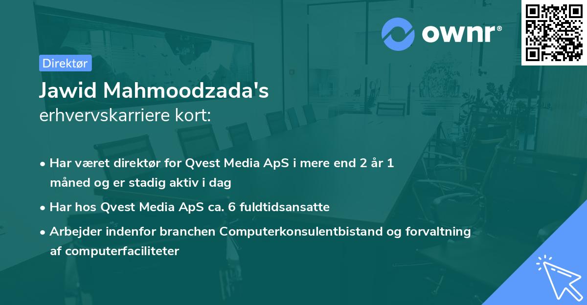 Jawid Mahmoodzada's erhvervskarriere kort