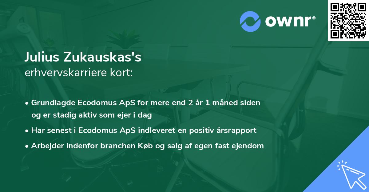 Julius Zukauskas's erhvervskarriere kort
