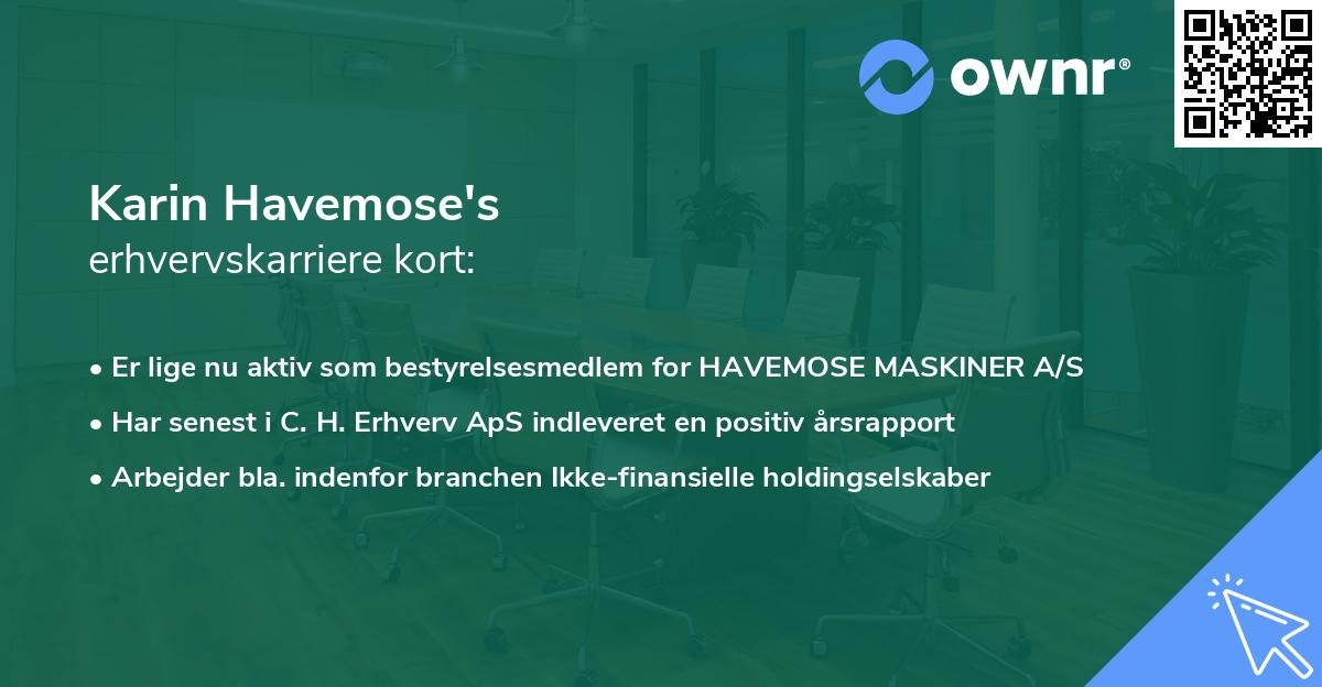 Karin Havemose's erhvervskarriere kort