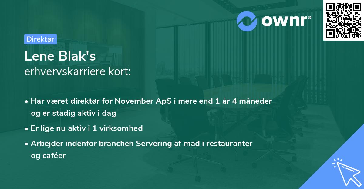 Lene Blak's erhvervskarriere kort