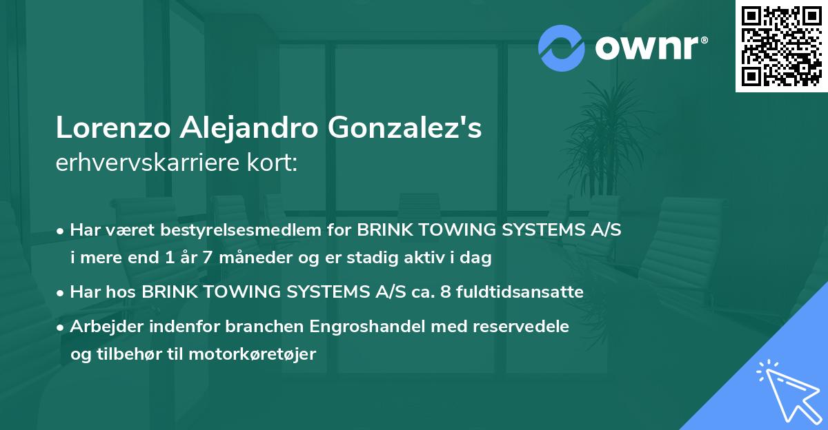 Lorenzo Alejandro Gonzalez's erhvervskarriere kort