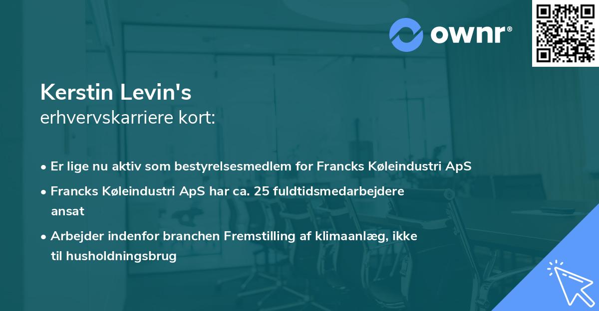 Kerstin Levin's erhvervskarriere kort