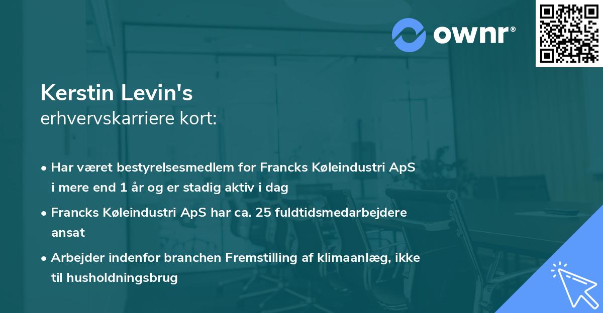 Kerstin Levin's erhvervskarriere kort