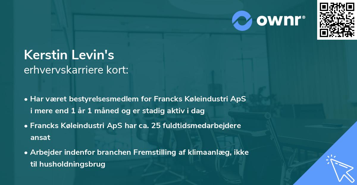 Kerstin Levin's erhvervskarriere kort