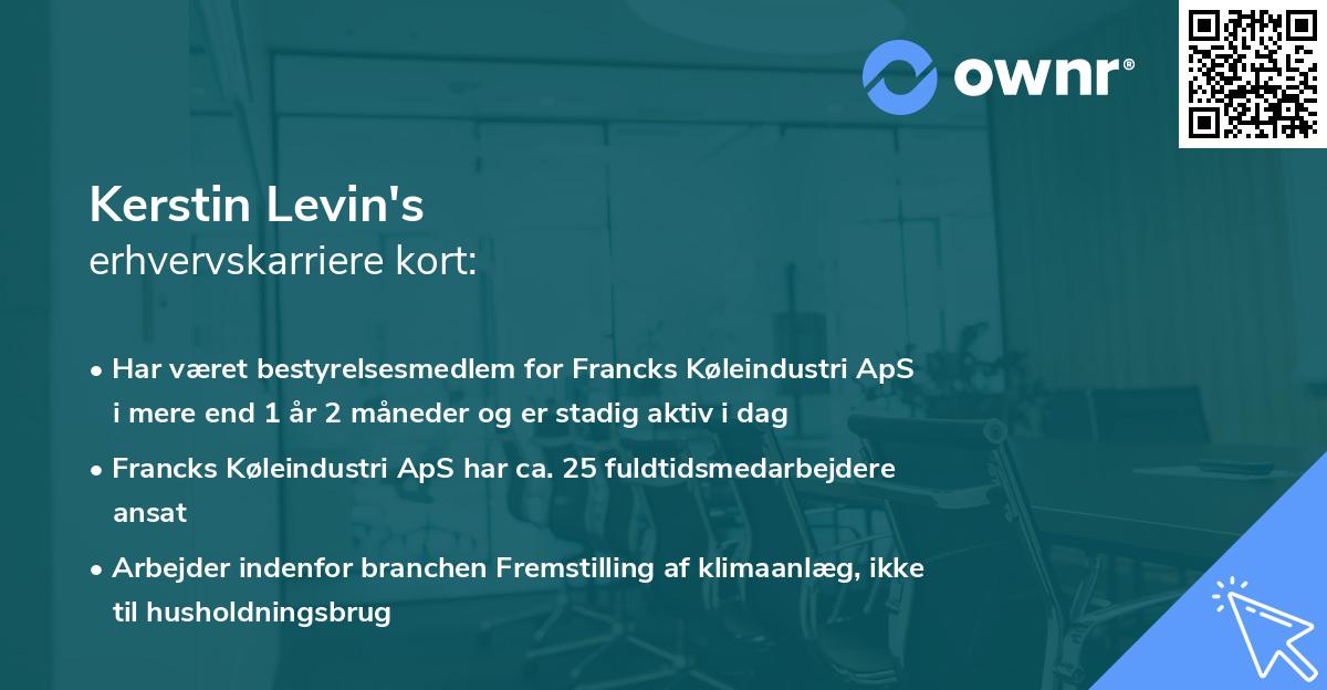 Kerstin Levin's erhvervskarriere kort