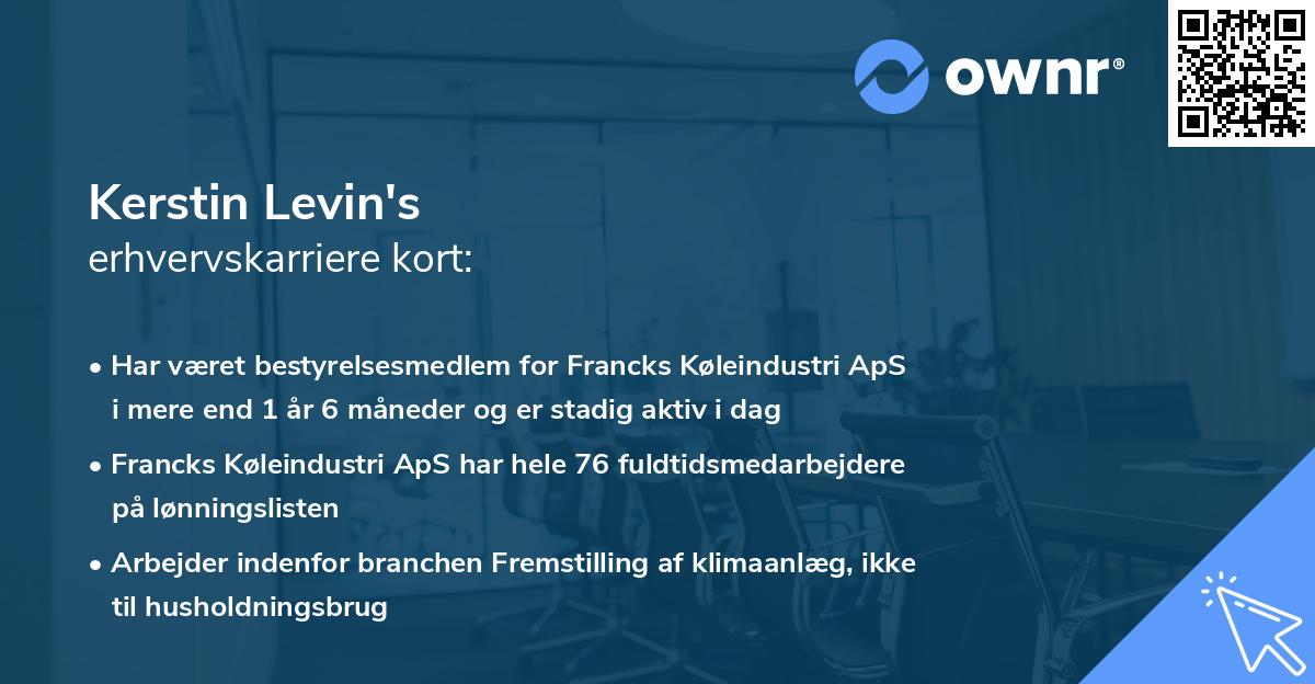 Kerstin Levin's erhvervskarriere kort