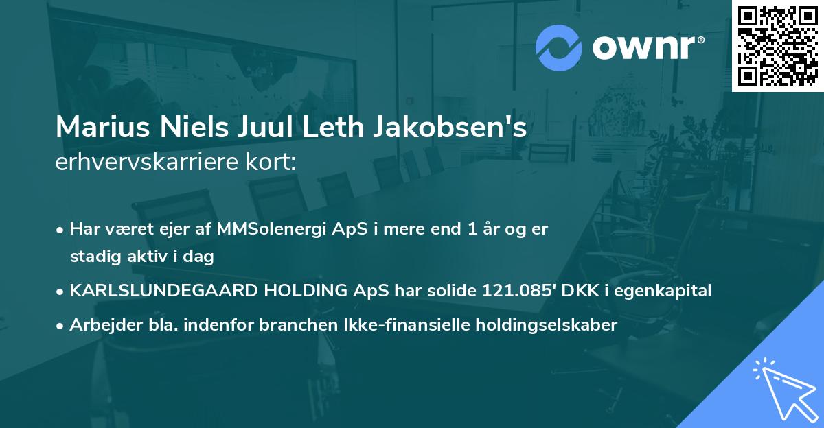 Marius Niels Juul Leth Jakobsen's erhvervskarriere kort