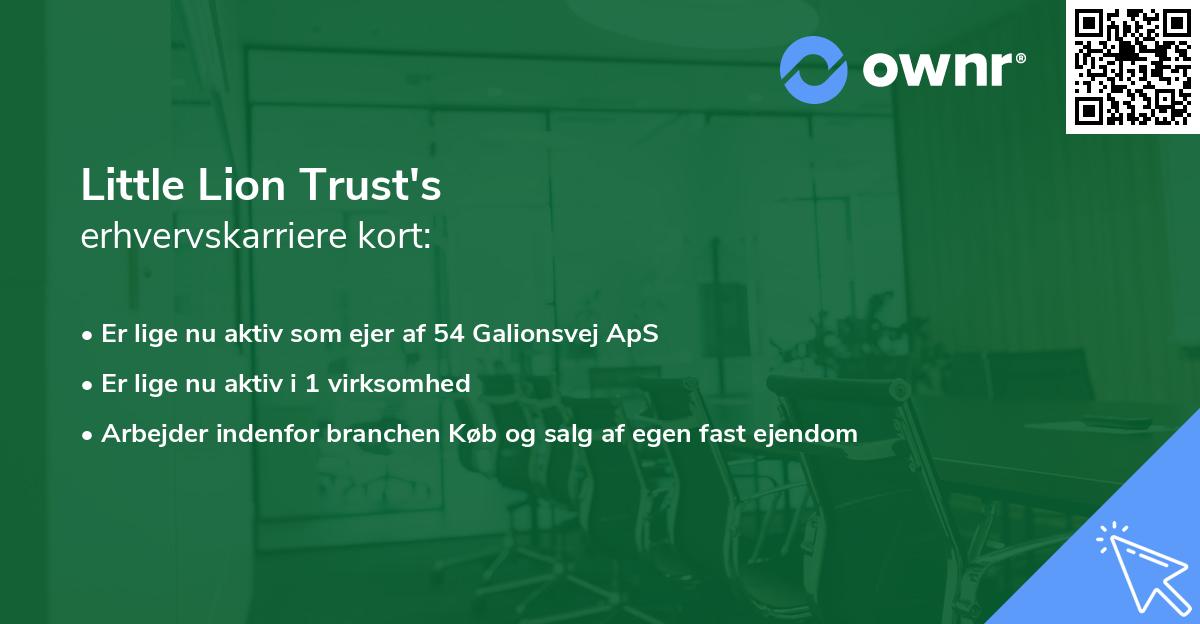 Little Lion Trust's erhvervskarriere kort
