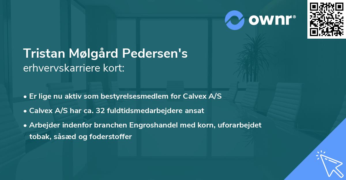 Tristan Mølgård Pedersen's erhvervskarriere kort