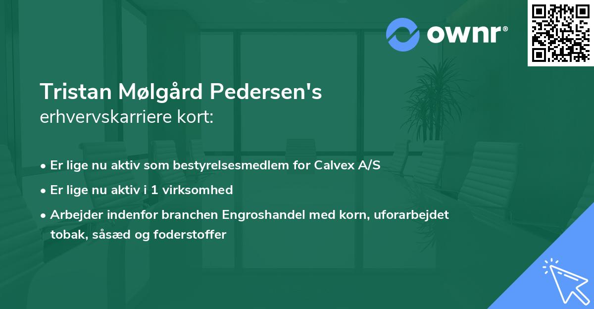 Tristan Mølgård Pedersen's erhvervskarriere kort