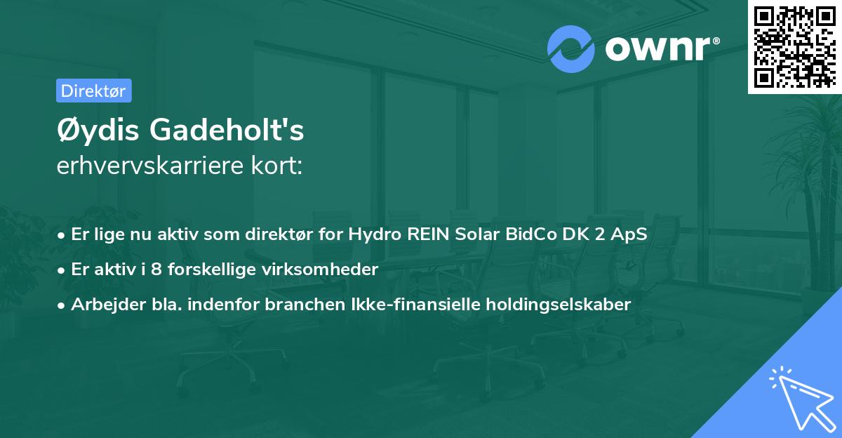 Øydis Gadeholt's erhvervskarriere kort