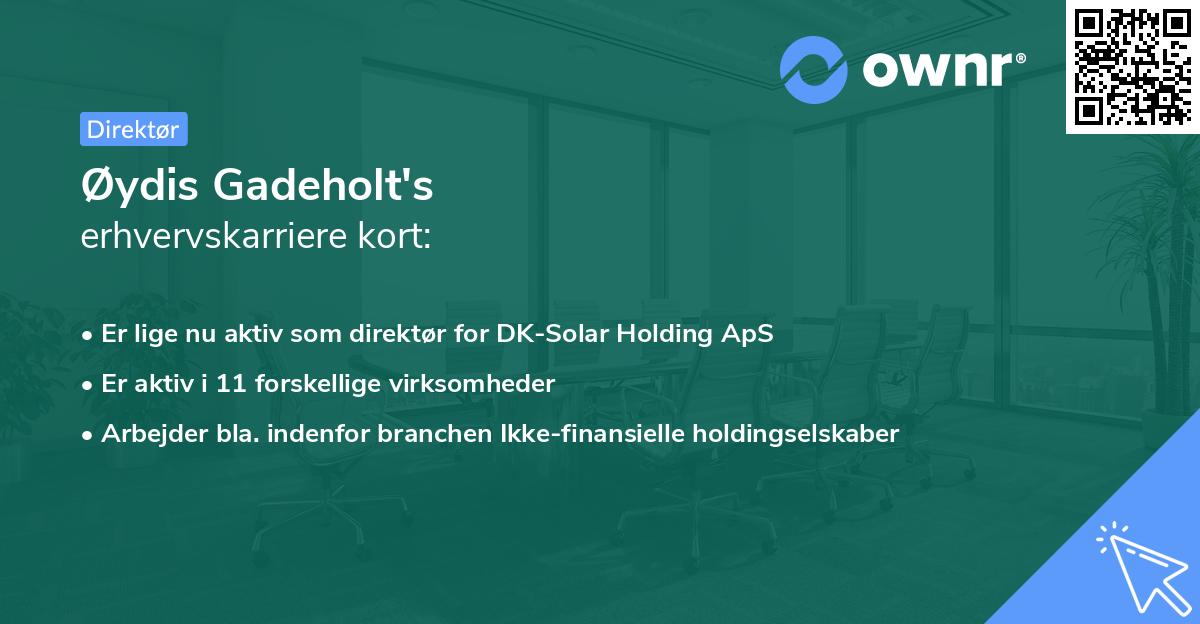 Øydis Gadeholt's erhvervskarriere kort
