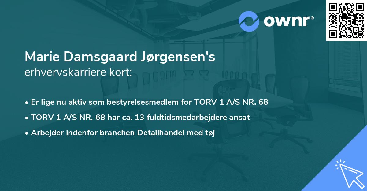 Marie Damsgaard Jørgensen's erhvervskarriere kort