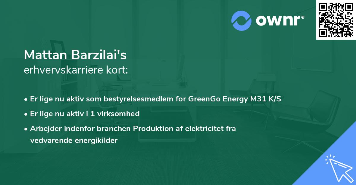 Mattan Barzilai's erhvervskarriere kort