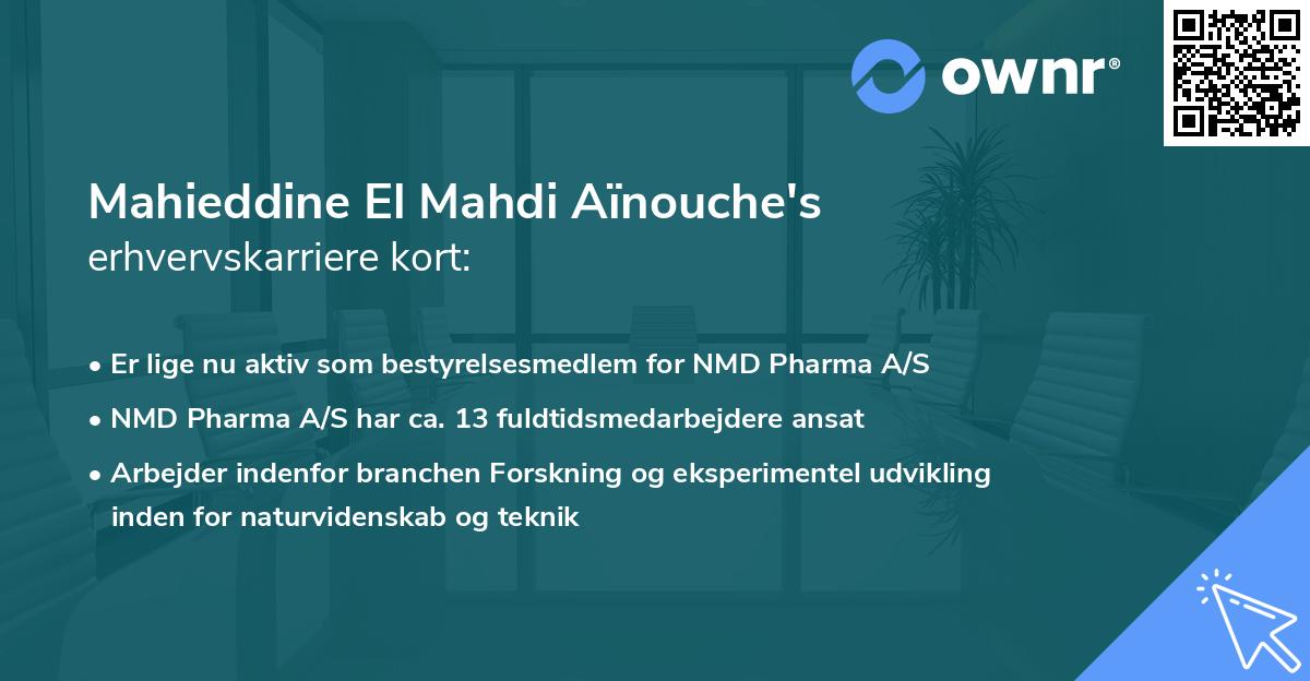 Mahieddine El Mahdi Aïnouche's erhvervskarriere kort