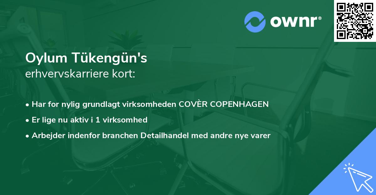Oylum Tükengün's erhvervskarriere kort