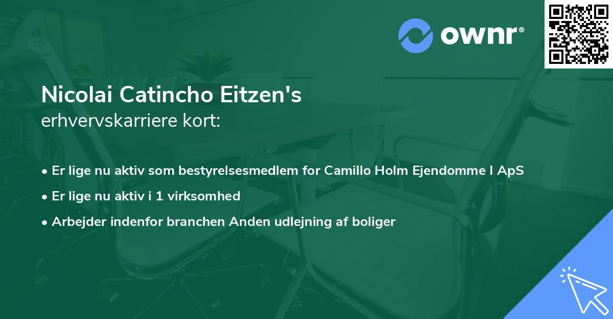 Nicolai Catincho Eitzen's erhvervskarriere kort