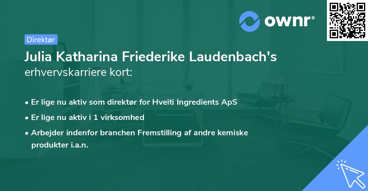 Julia Katharina Friederike Laudenbach's erhvervskarriere kort