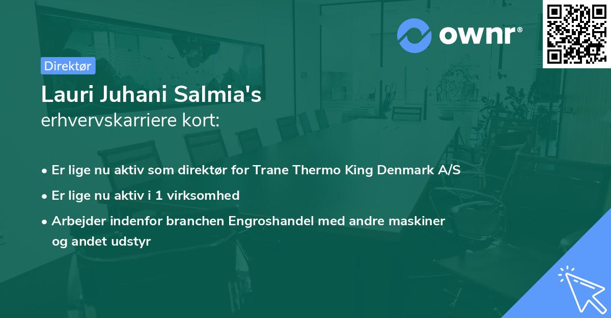 Lauri Juhani Salmia's erhvervskarriere kort