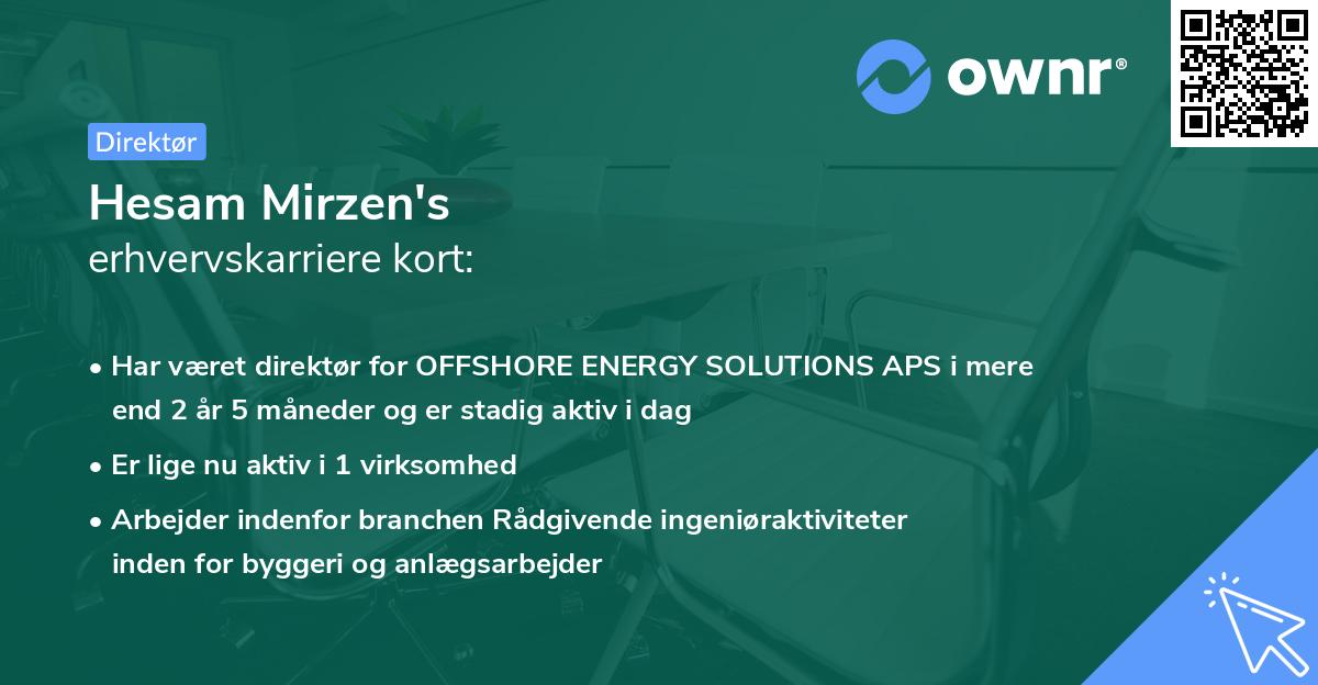Hesam Mirzen's erhvervskarriere kort