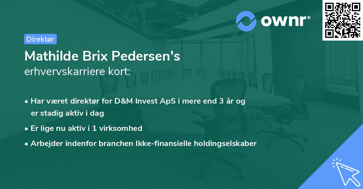 Mathilde Brix Pedersen's erhvervskarriere kort