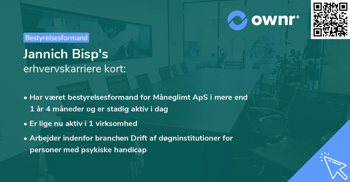 Jannich Bisp's erhvervskarriere kort