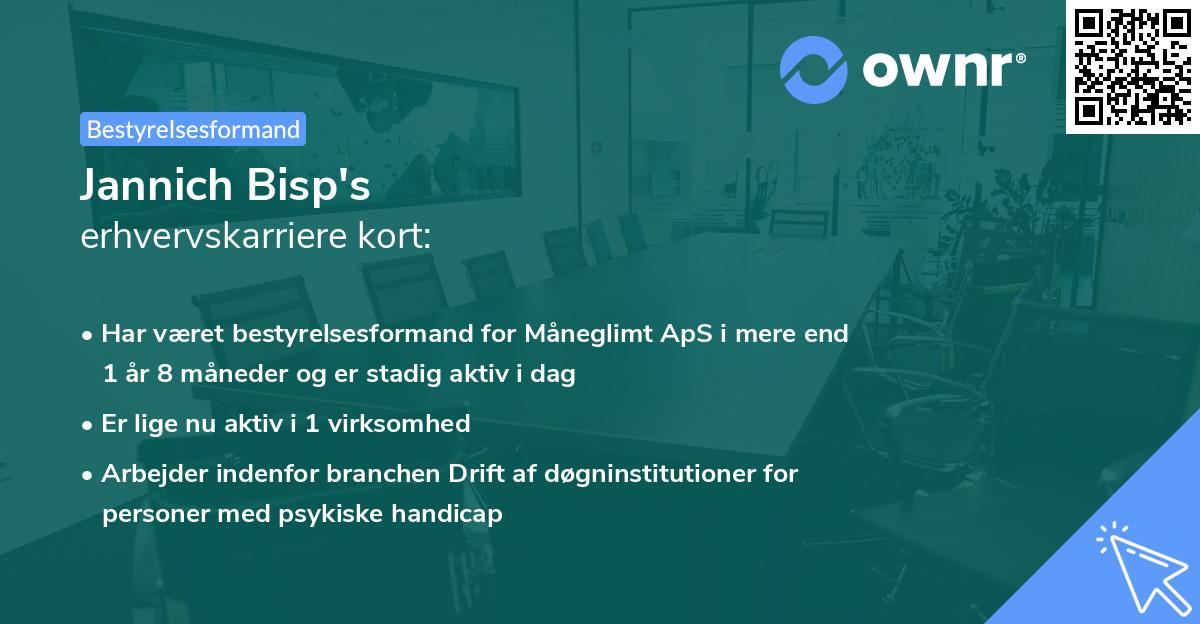 Jannich Bisp's erhvervskarriere kort