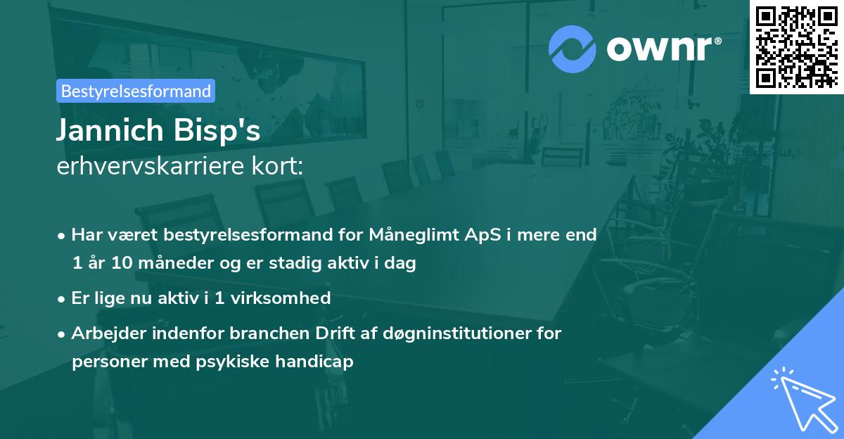 Jannich Bisp's erhvervskarriere kort