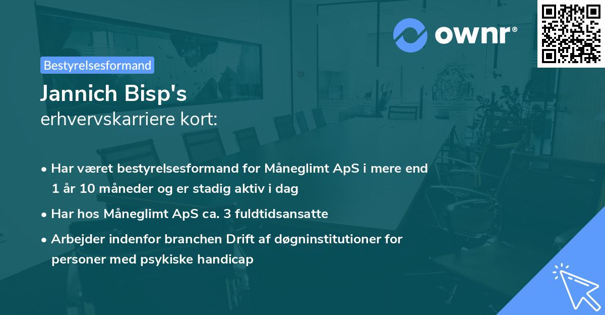 Jannich Bisp's erhvervskarriere kort