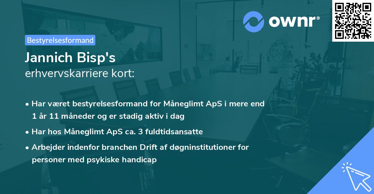 Jannich Bisp's erhvervskarriere kort
