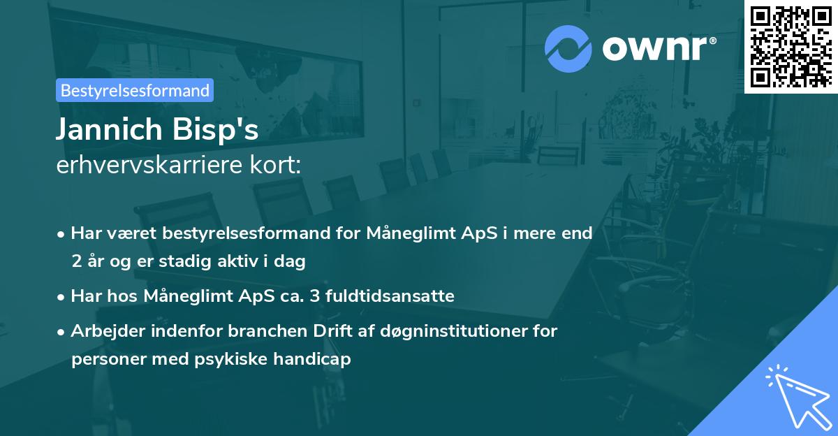 Jannich Bisp's erhvervskarriere kort
