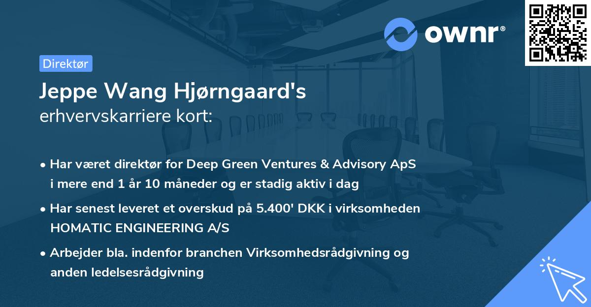 Jeppe Wang Hjørngaard's erhvervskarriere kort