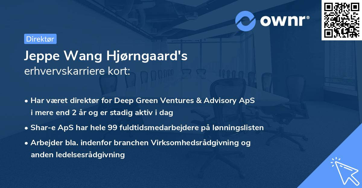 Jeppe Wang Hjørngaard's erhvervskarriere kort