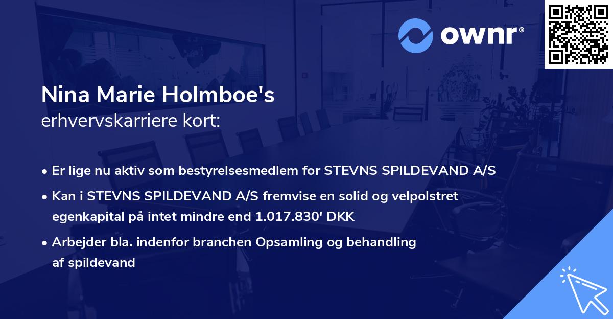 Nina Marie Holmboe's erhvervskarriere kort