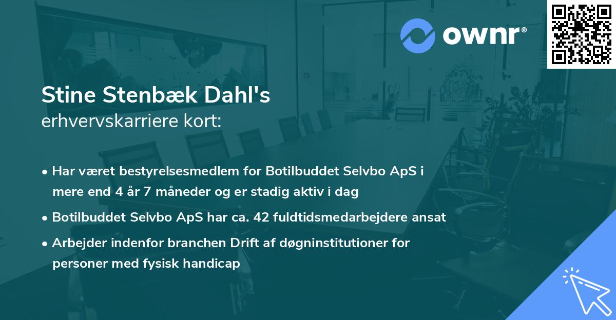 Stine Stenbæk Dahl's erhvervskarriere kort
