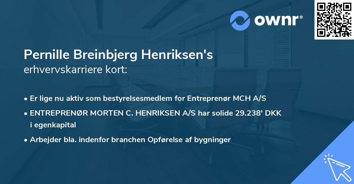Pernille Breinbjerg Henriksen's erhvervskarriere kort