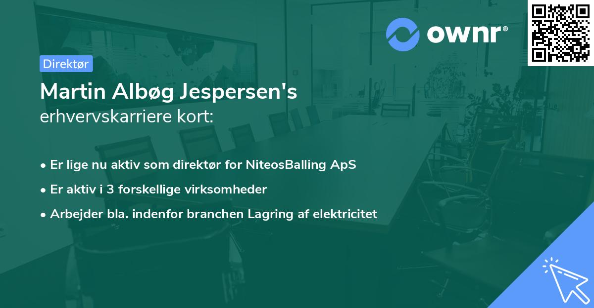 Martin Albøg Jespersen's erhvervskarriere kort