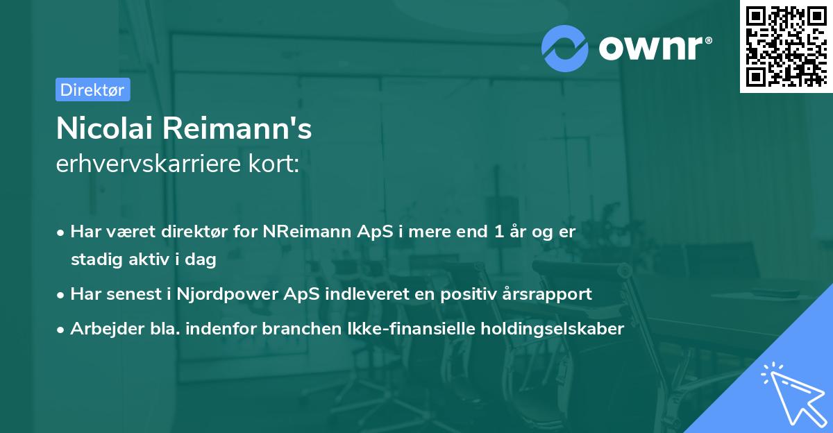 Nicolai Reimann's erhvervskarriere kort