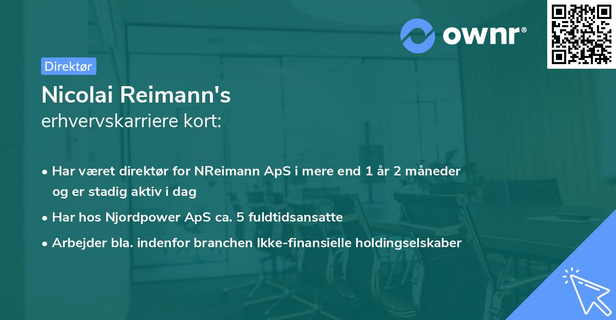 Nicolai Reimann's erhvervskarriere kort