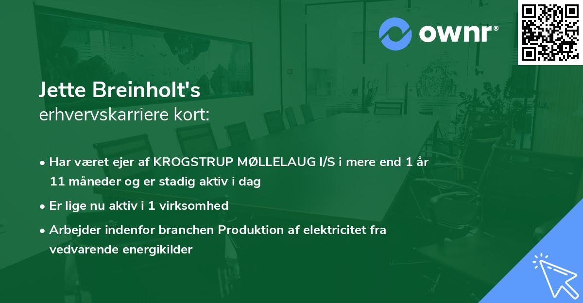 Jette Breinholt's erhvervskarriere kort