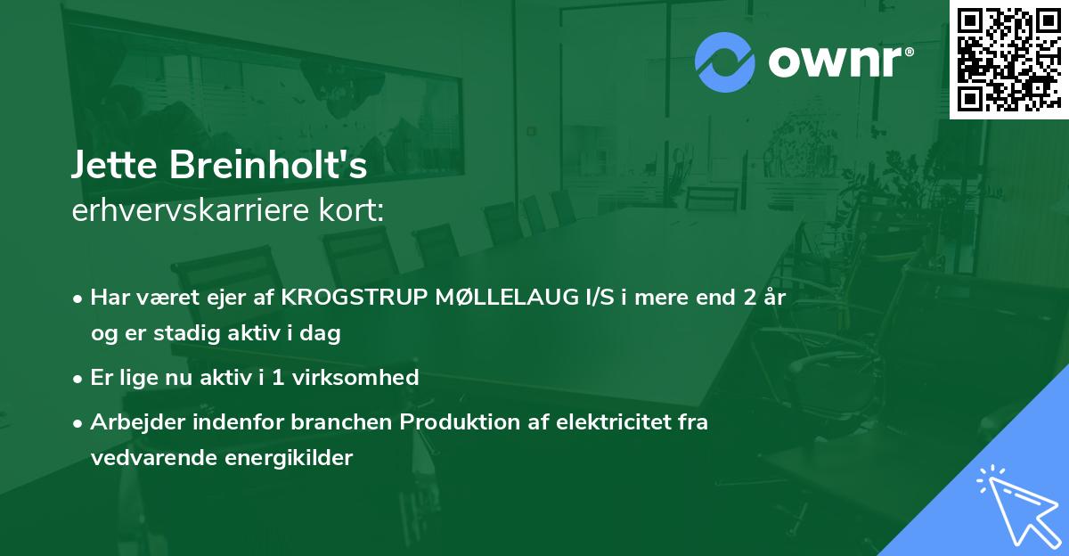 Jette Breinholt's erhvervskarriere kort