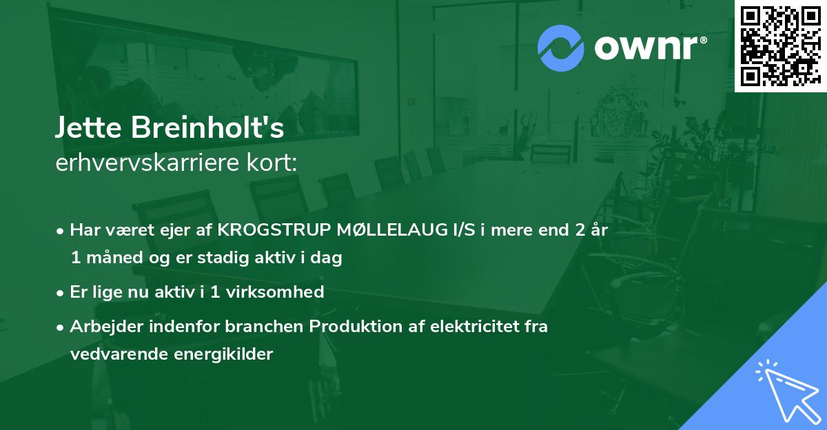 Jette Breinholt's erhvervskarriere kort